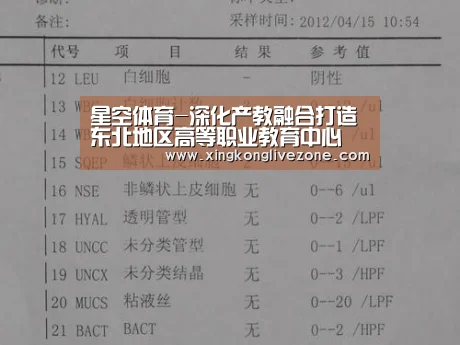 星空体育-深化产教融合打造东北地区高等职业教育中心(图2) 星空体育