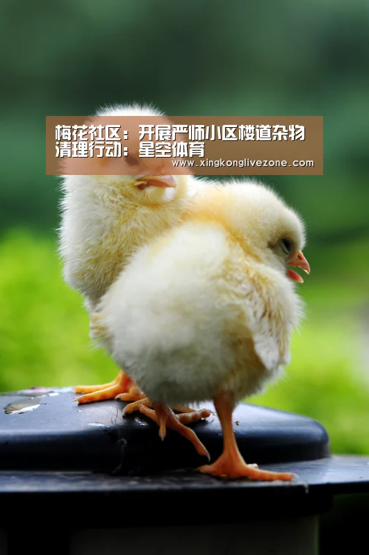 梅花社区:开展严师小区楼道杂物清理行动:星空体育(图3) 星空体育
