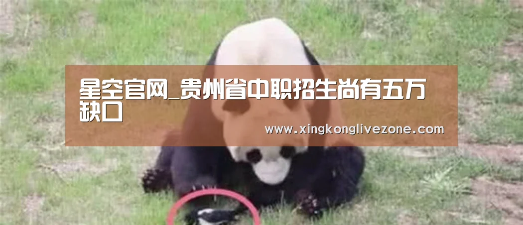 星空官网_贵州省中职招生尚有五万缺口(图1) 星空APP