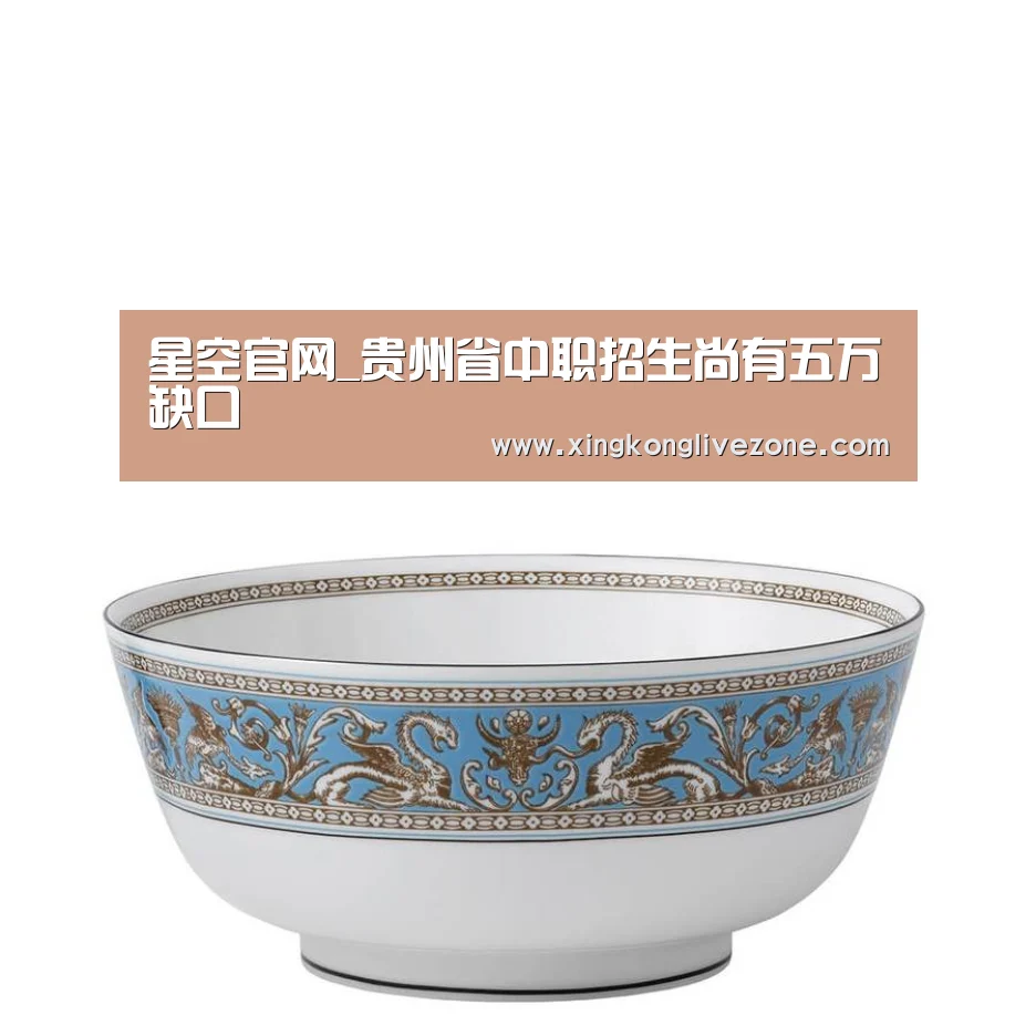 星空官网_贵州省中职招生尚有五万缺口(图2) 星空体育