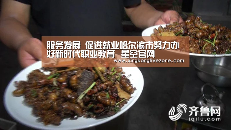 服务发展 促进就业哈尔滨市努力办好新时代职业教育-星空官网(图3) 星空APP