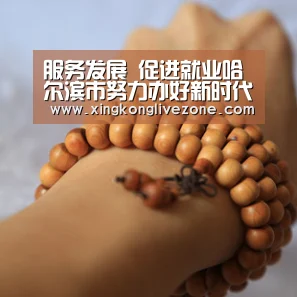 服务发展 促进就业哈尔滨市努力办好新时代职业教育-星空官网(图2) 星空官网